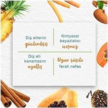 Himalaya Leke Karşıtı Bitkisel Diş Macunu, Florürsüz, Parabensiz, Vejeteryan, Leke Çıkartıcı, Bitkisel Enzim Teknolojisi, 75 ml