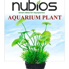 Nubios Plastik Bitki Kare Tabanlı Tekli Karton 10 cm