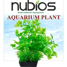 Nubios Plastik Bitki Kare Tabanlı Tekli Karton 10 cm