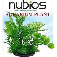 Nubios Plastik Bitki Kare Tabanlı Tekli Karton 17,5 cm