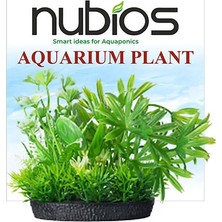 Nubios Plastik Bitki Kare Tabanlı Tekli Karton 10 cm