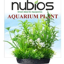 Nubios Plastik Bitki Kare Tabanlı Tekli Karton 10 cm