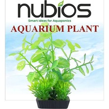 Nubios Plastik Bitki Kare Tabanlı Tekli Karton 10 cm