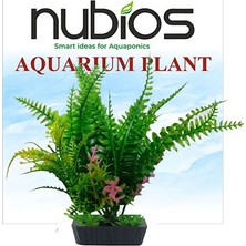 Nubios Plastik Bitki Kare Tabanlı Tekli Karton 17,5 cm