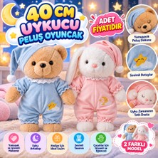 Kpln Store PL62449 40 cm Uykucu Peluş Oyuncak (Adet Fiyatıdır)