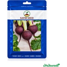 Safir Seed Kara Gülle Turp Tohumu 25 G