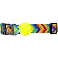 Tailpetz Rainbow Köpek Boyun Tasması