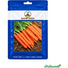 Safir Seed Yarkın 2002 Havuç Tohumu 10 G