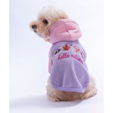 Pawstar Pembe Vermont Autumn Köpek Hoodie Köpek Sweat Köpek Kıyafeti Kedi Kıyafeti