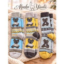 Ciho Socks Premium 3 Çift Kadın Alpaka Yünlü Yumuşak Yıkamalı Norveç Tipi Termal Desenli Soket Çorap