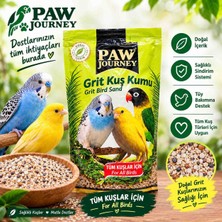 Paw Journey Girit Kuş Kumu
