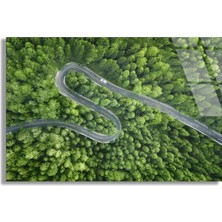 Steelartdec Orman Yılankavi Yol Cam Tablo