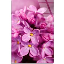 Steelartdec Pembe Leylak Çiçekleri Cam Tablo