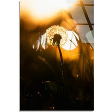 Steelartdec Karahindiba Günbatımı Cam Tablo