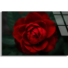 Steelartdec Kırmızı Gül Cam Tablo