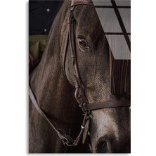 Steelartdec Asil At Portresi Cam Tablo – Hayvan Duvar Dekoru