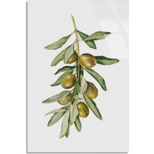 Steelartdec Zeytin Dalı Suluboya Cam Tablo