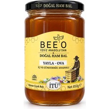 BEE'O Beeo Süzme Çiçek Balı 850 G