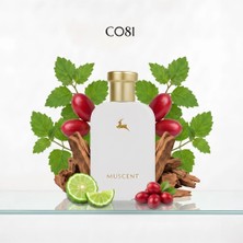Muscent C081 Barrennia