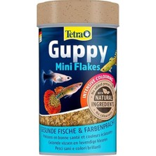 1001 Yem Guppy 100 ml