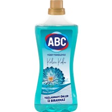 1001 Yüzey Temizleyici Bahar Tutkusu 900 ml