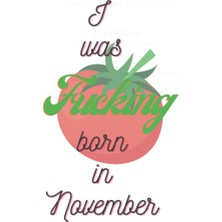 1001 I Was Fucking Born In November: Daily Gratitude Journal For November Birthday Celebrants, 6×9" 120 Pages