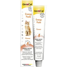 1001 Energy Kedi Macunu 50GR
