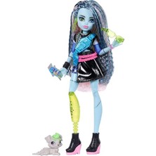 Frefly Store Monster High Frankie Stein Figürü, Havalı Oyuncak