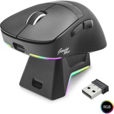 Bin1çeşit Rgb Şarj Standlı Kablosuz Mouse - Siyah 12000 Dpı