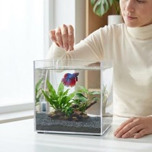 Mythriva Nano Akvaryum 20X20X20 Cm, 7 Litre Kapasite, Karides ve Balık Için