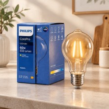 Filament Rustik G93 E27 LED Ampul 2700K