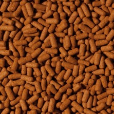 Tropical Cichlid Arowana Large Sticks 50 Gram Açık