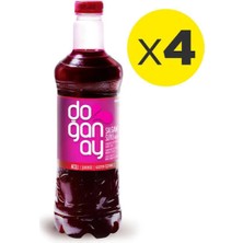 Doğanay Acılı Şalgam 1 Lt (4 Adet) Koli