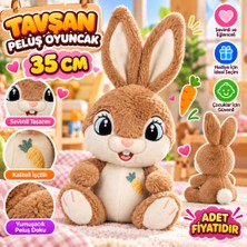 Str Store 10012 Tavşan Peluş 35CM Oyuncak Peluş