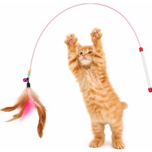 Jetfast Kedi Oyun Oltası 90 cm Renkli Tüylü Kedi Oyuncağı