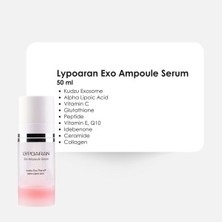 Theraderm Lypoaran Exo Ampoule Serum, 50 ml