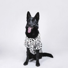Moab Köpek Yağmurluk, Su Itici Özellikli, Sırt ve Boyun Tasması Uyumlu, Çıt Çıtlı, Iki Kademeli Ayarlanabilir