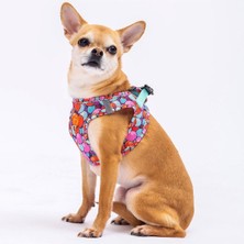 Happy Trend Balloons Air-Mesh Göğüs Tasması Kedi Köpek Göğüs Tasması Medium