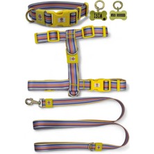 Happy Trend Köpek Tasma Seti Kişiye Özel Künyeli Isimli Tasma H Tipi Tasma Gövde Boyun Gezdirme Tasması Desen 8-M