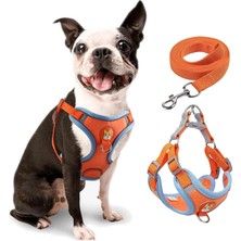 Happy Trend Küçük Köpek Koşum Çekme Yok, 2 Tasma Klipsli Ayarlanabilir Yavru Köpek Koşum, Ultra Konfor Yastıklı Köpeks Yeleği, Küçük Köpekler Için Kolay Kontrol Yansıtıcı Köpeks Koşums ve Tasma Seti (M)