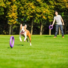 Happy Trend Köpek Oyuncağı, Köpek Eğitim Halkası, Çiğneme, Koşu, Atlama, Atış Için, Zehirli Olmayan, Yüzer, Standart Çektirme, Orta ve Büyük Köpekler Için Köpek Oyuncağı, 2 Fitness Halkası Seti