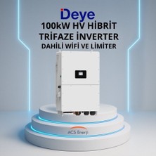 Deye 100KW Hibrit Trifaze Inverter Hv