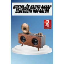 Aydogan's Gramafon Radyo Bluetooth Hoparlör Nostaljik Radyo Fm Radyo