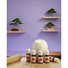 Mabelme Store Taşınabilir Nemlendirici LED Gece Işığı USB 5 Esans