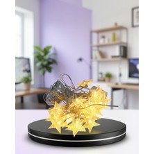 Mabelme Store 5 Metre Yıldız LED Işık Sabit Beyaz