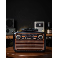 Mabelme Store Ahşap Radyo LED Işıklı Tf Sd USB Girişli