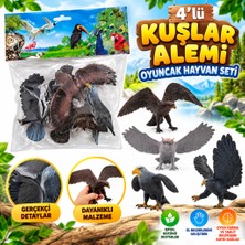 tp DMN058-4  4lü Kuşlar Alemi Oyuncak Hayvan Seti