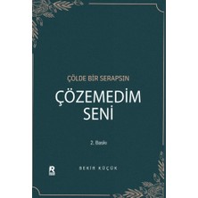 Raven Yayınevi Çözemedim Seni