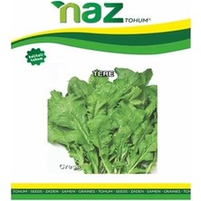 Naz Tohum Bahar Gülü Tere 25 gr