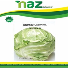 Naz Tohum Lahana Yalova 10 gr
